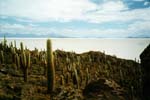 Bolivia - Salar de Uyuni